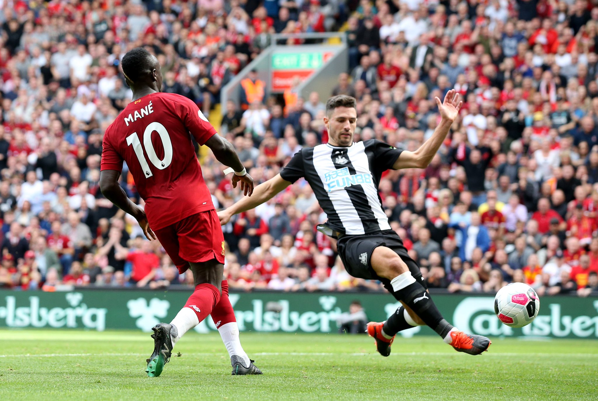 将决定他们 将决定他们